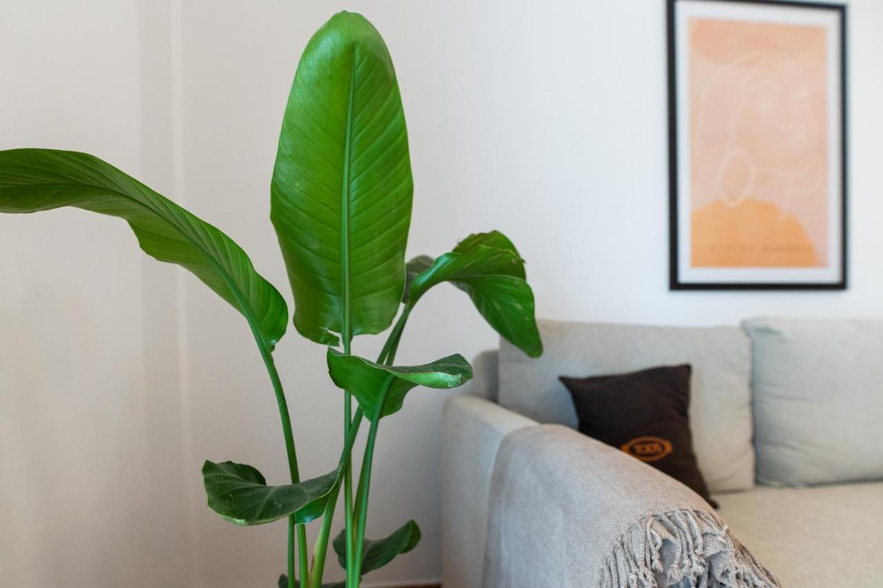 Flat 126 Apartment อเล็กซานโดรโพลิส ภายนอก รูปภาพ